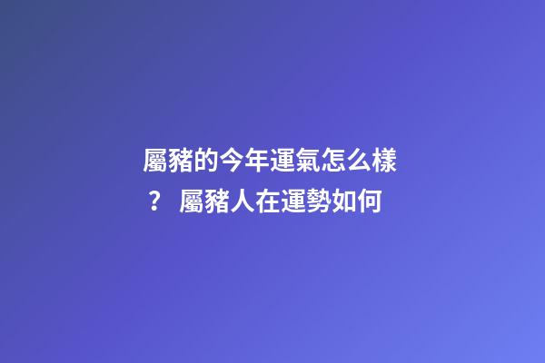 屬豬的今年運氣怎么樣？ 屬豬人在運勢如何